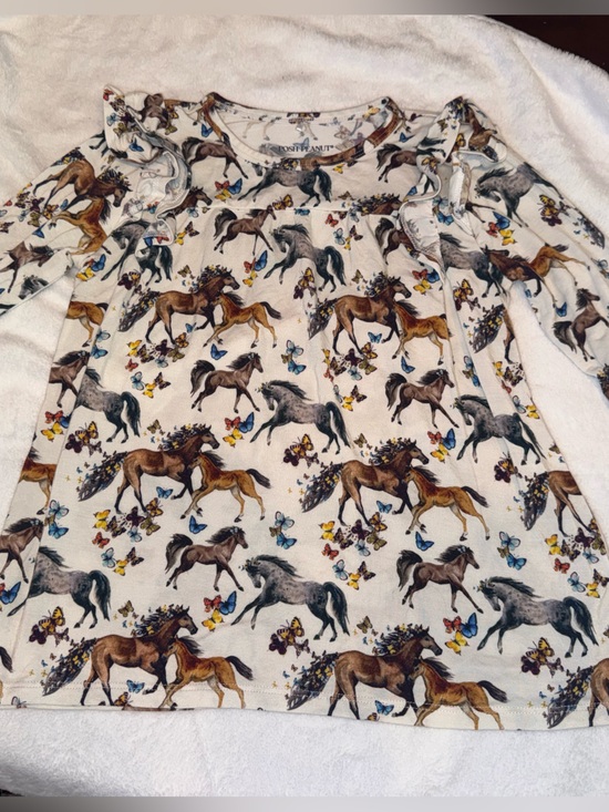 Posh Peanut Other - Posh Peanut Claire Horses Butterflies Long Sleeve Ruffle Twirl Dress 5/6T
